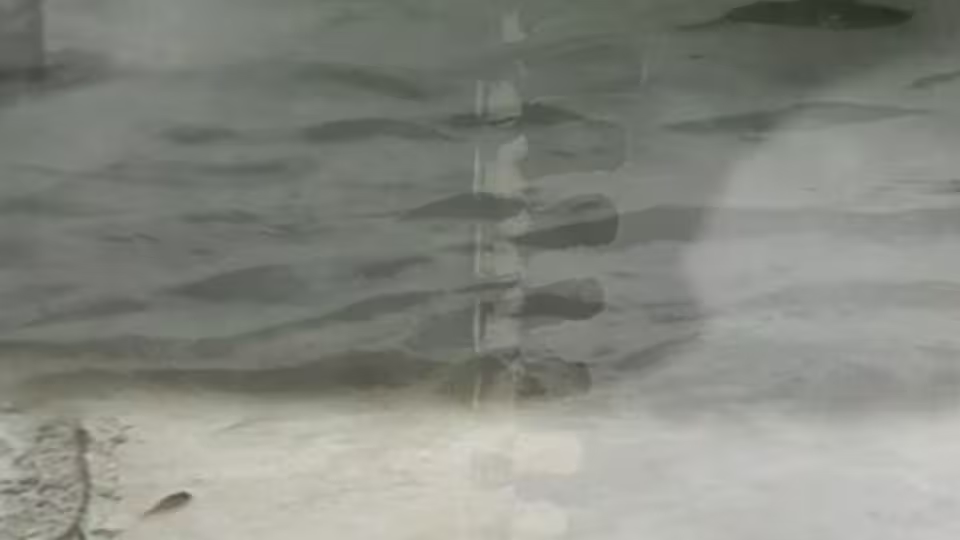 Image of rescore «etude03»