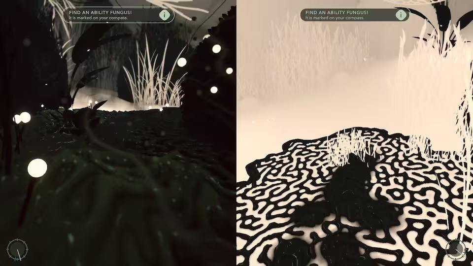 Image of Mutifarious